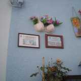 �Non avendo un balcone ho appeso un vecchio reggiseno sul muro e l'ho riempito di piante - dice Rosa -. Vivo qui da qualche anno e credo che questa zona sia un patrimonio meraviglioso: e pensare che anch'io conoscevo Casamassima solo per l'ipermercato�